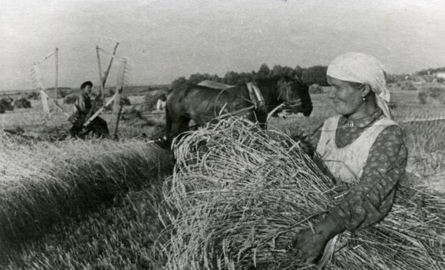 1937 год в Татарстане: «Предложил им состоять в нашей организации и заняться вредительством» - «История»