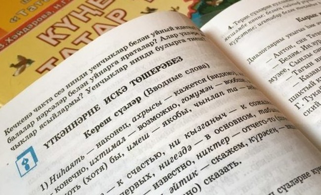 «Родной язык будет тянуть детей вниз»: еще раз о «конфликтном законопроекте» Госдумы - «Образование»