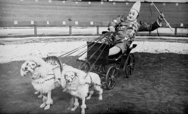 Фотомарафон «100-летие ТАССР»: клоун в возке, запряженном собаками, 1926 год - «История»