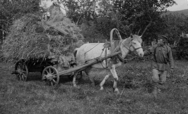 Фотомарафон «100-летие ТАССР»: погрузка урожая, 1927 год - «История»
