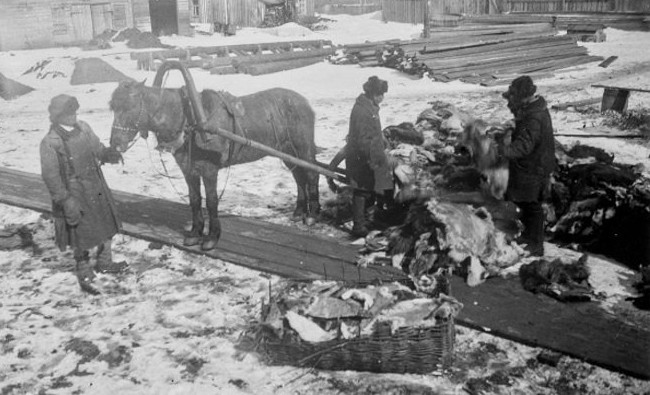 Фотомарафон «100-летие ТАССР»: выгрузка шкур на меховой фабрике в Казани, 1929 год - «История»