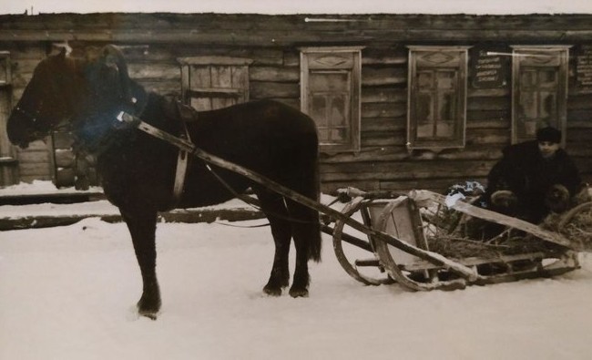 Фотомарафон «100-летие ТАССР»: председатель колхоза «Победа» Андрей Степанов в санях, конец 1950-х - «История»