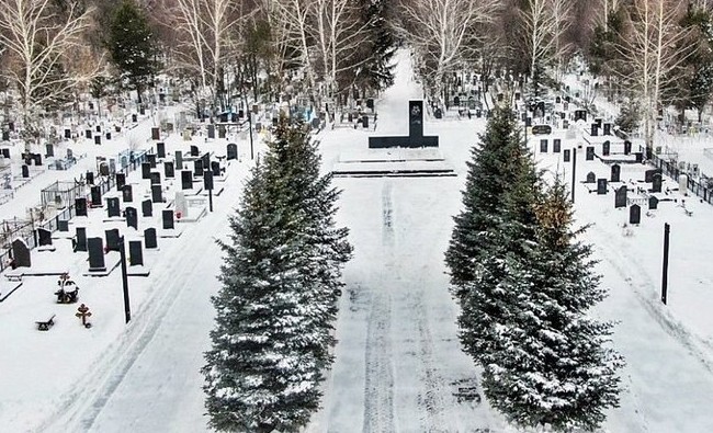 Как нижнекамские поисковики нашли под Псковом деда братьев Метшиных - «История»