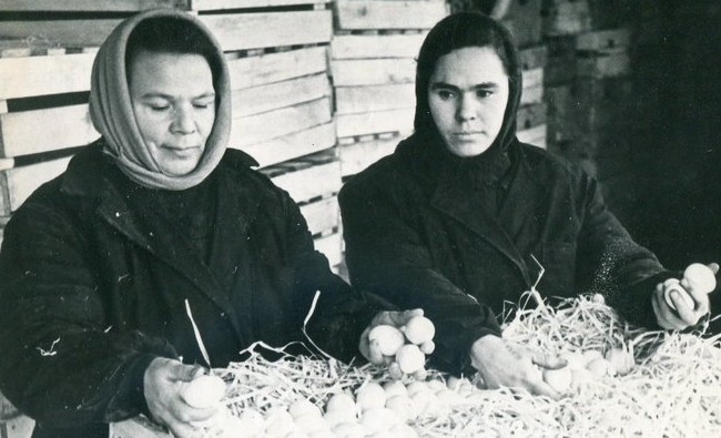 Фотомарафон «100-летие ТАССР»: приемщицы на Челнинской яйцебазе, 1960-е - «История»