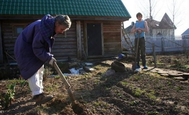 «7 дней»: бизнес в условиях пандемии, дачный сезон и лаборатория тест-систем на COVID-19 - «История»