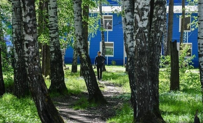 «Ковидное» лето 2020-го: в загородный лагерь — не раньше июля, в пришкольный — в августе - «Образование»