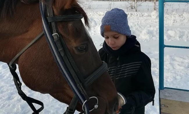 Ипподрама по-казански продолжается: детям ищут место под конный манеж - «Власть»
