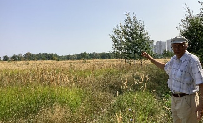 В Казани предлагают создать экопарк нового вида — «луговой» - «Власть»