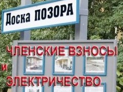 Изъятие или списание: что грозит дачнику за долги по взносам - «Дайджест»