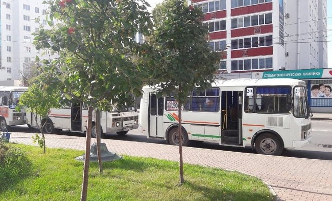 Уфимцы требуют посадить чиновников. Пока в автобусы - «Инфраструктура»