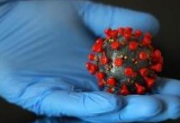 Китай жестко отреагировал на возобновление расследования пандемии коронавируса - «Общественные новости»