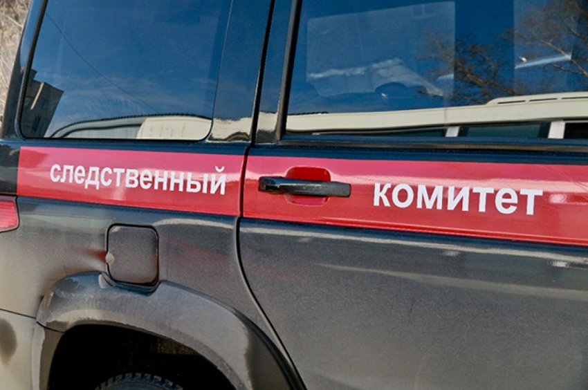 На Алтае завели дело против ПДН после инцидента с мальчиком на морозе - «Происшествия»