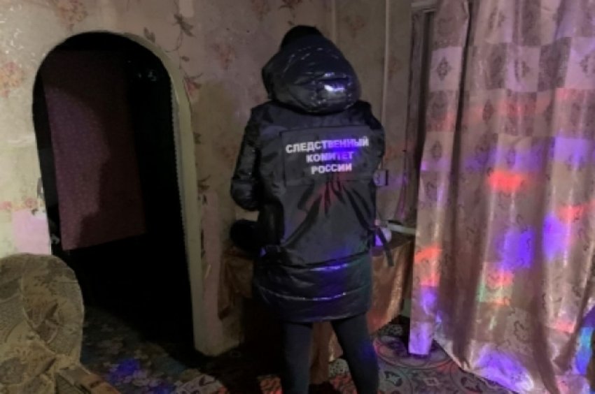 В Алтайском крае двое детей скончались из-за отравления углекислым газом - «Происшествия»