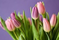 Эксперты рассказали о мистическом значении даты 8 марта - «Общественные новости»