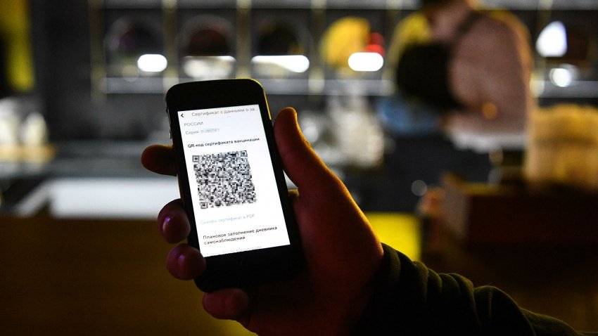 В Алтайском крае отменили систему QR-кодов в общественных местах - «Власть»