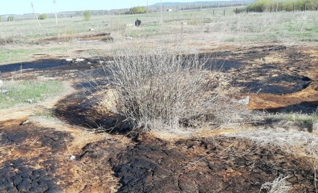 В Татарстане на землях разорившейся нефтяной компании устроили склад нефтешлама - «Власть»