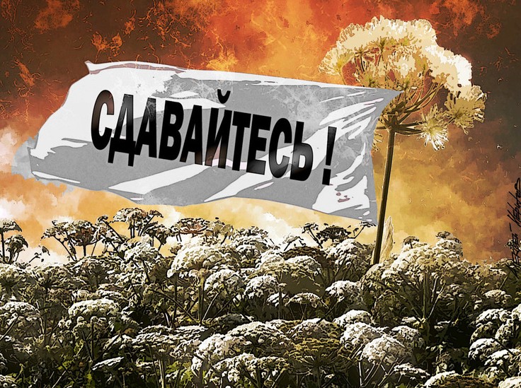 Госдума наконец взялась за "неубиваемых" вредителей - «Общественные новости»