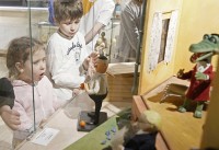 Про крокодила Гену, жующего вражеские чипсы - «Общественные новости»