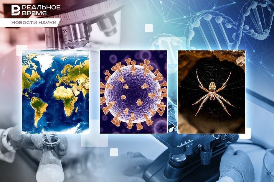 Кошмар арахнофоба, атлас древнеримских дорог, лекарство от рака - «История»