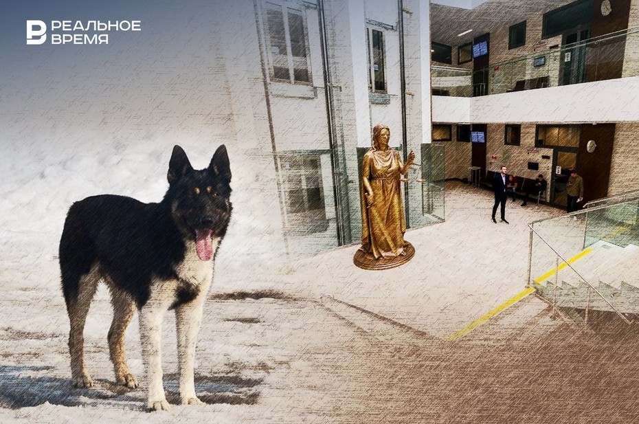 В Татарстане признали законным включение «отловщика» собак в реестр недобросовестных поставщиков - «Власть»