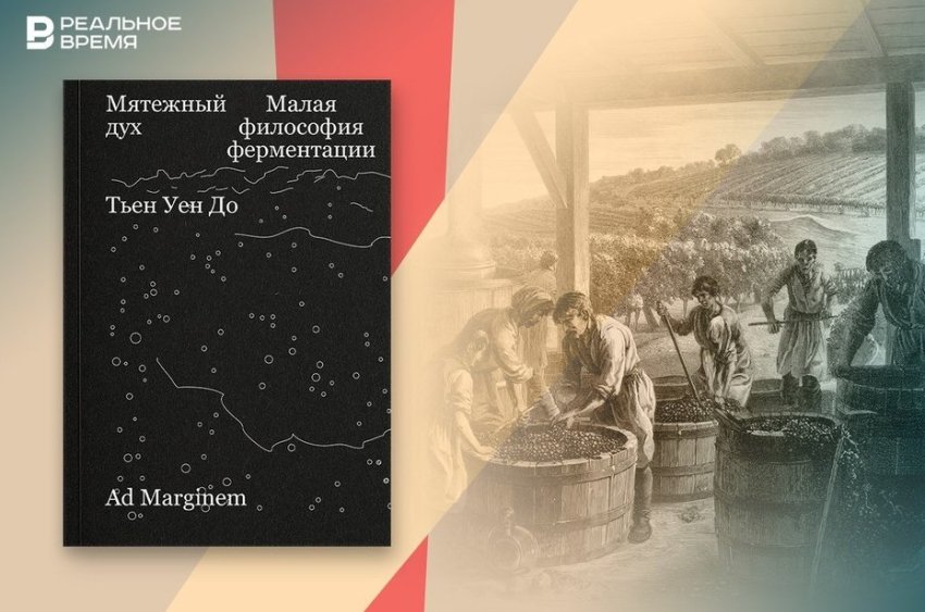 Как ферментация создала современную кухню - «История»