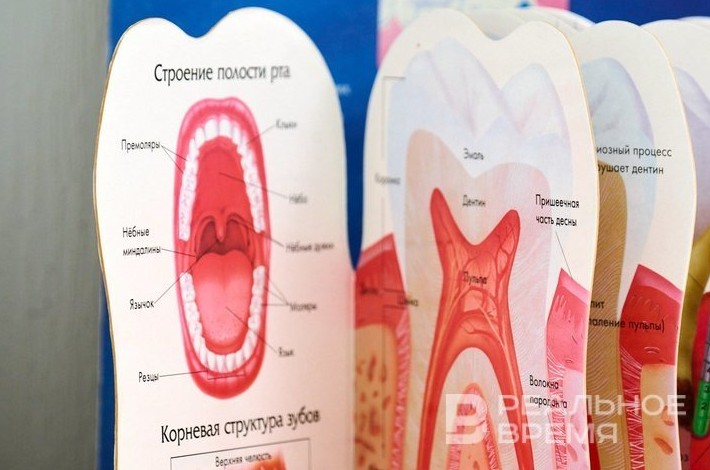 «Дальше цены вырастут в рамках инфляции»: услуги стоматолога в России подорожали до 26% за год - «Медицина»