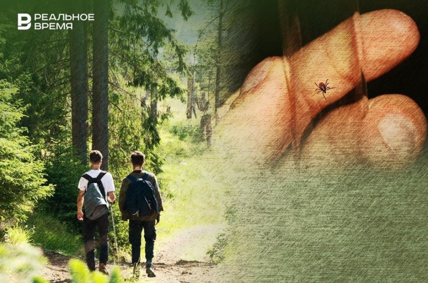 Они проснулись: в Татарстане зафиксировали первые семь укусов клещей - «Медицина»