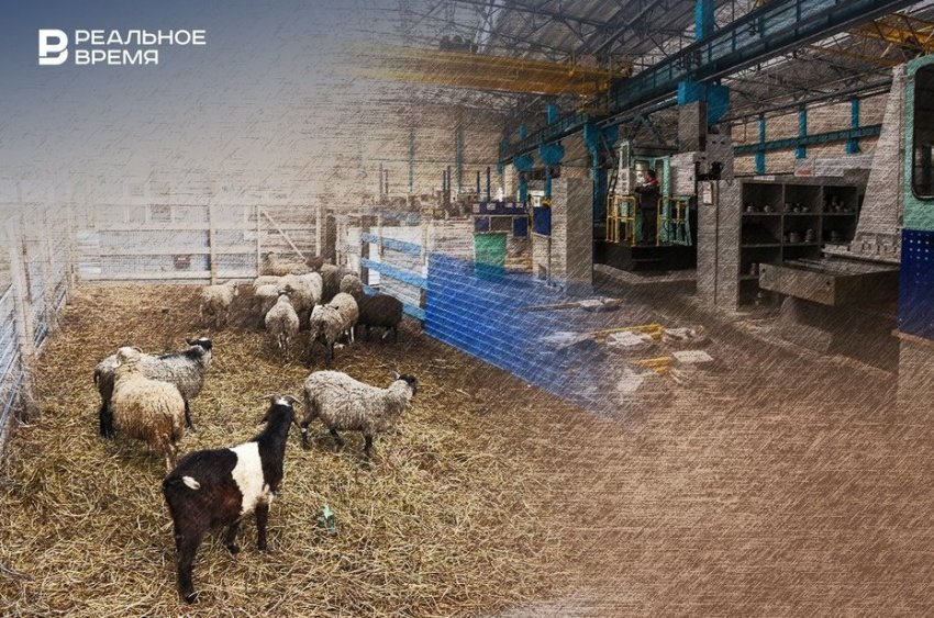 Тактика выживания: почему татарстанский бизнес «съеживается» - «Власть»