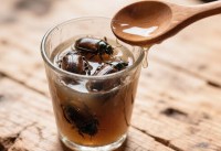 Отвар из тертых жуков: цены на официальную медицину заставили реанимировать «бабушкины» рецепты - «Общественные новости»