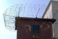 «Сохраним молодое поколение»: Меркачева прокомментировала «антинаркотический» законопроект Верховного суда - «Общественные новости»
