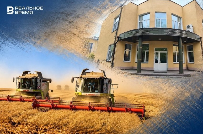 Татарстанские хлеборобы не могут реализовать собранный урожай - «Происшествия»